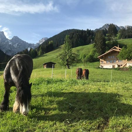 Au Pre Des Chevaux Château-d'Oex Exterior foto