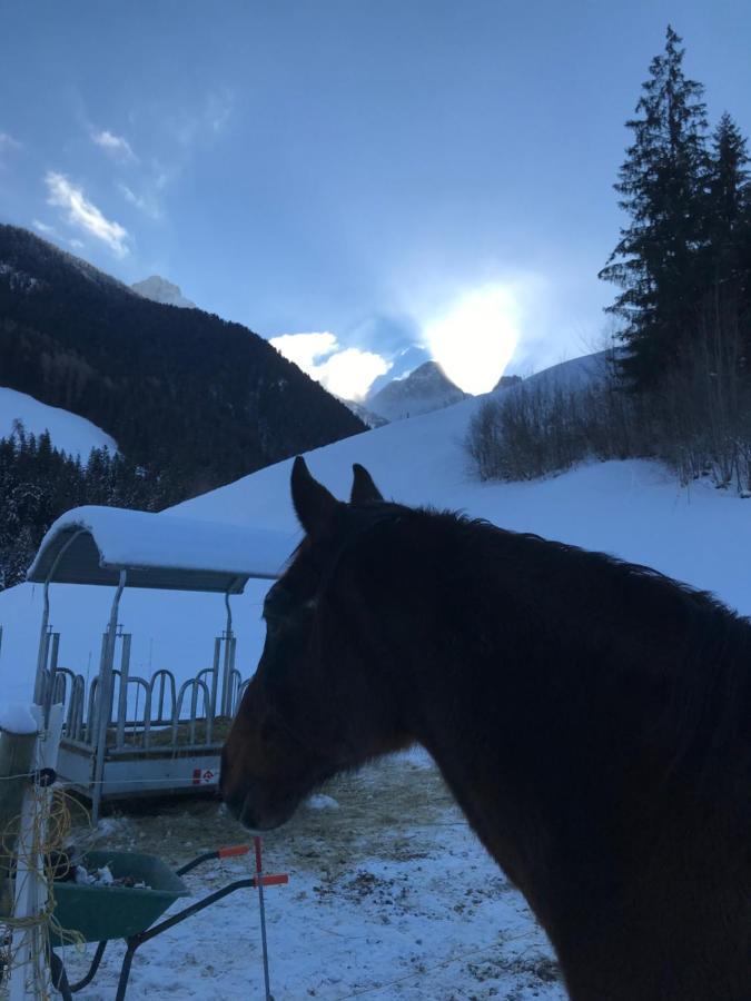 Au Pre Des Chevaux Château-d'Oex Exterior foto