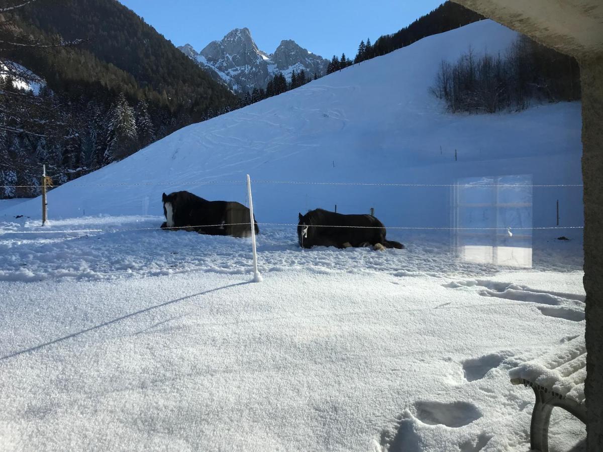 Au Pre Des Chevaux Château-d'Oex Exterior foto