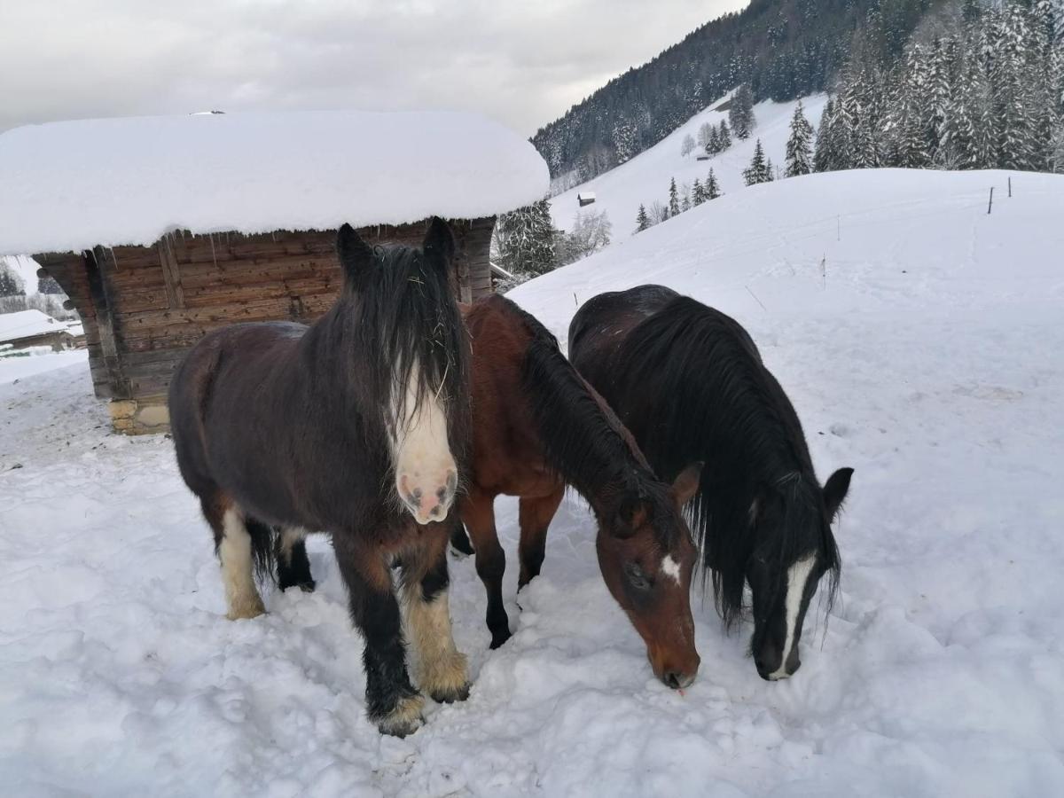 Au Pre Des Chevaux Château-d'Oex Exterior foto