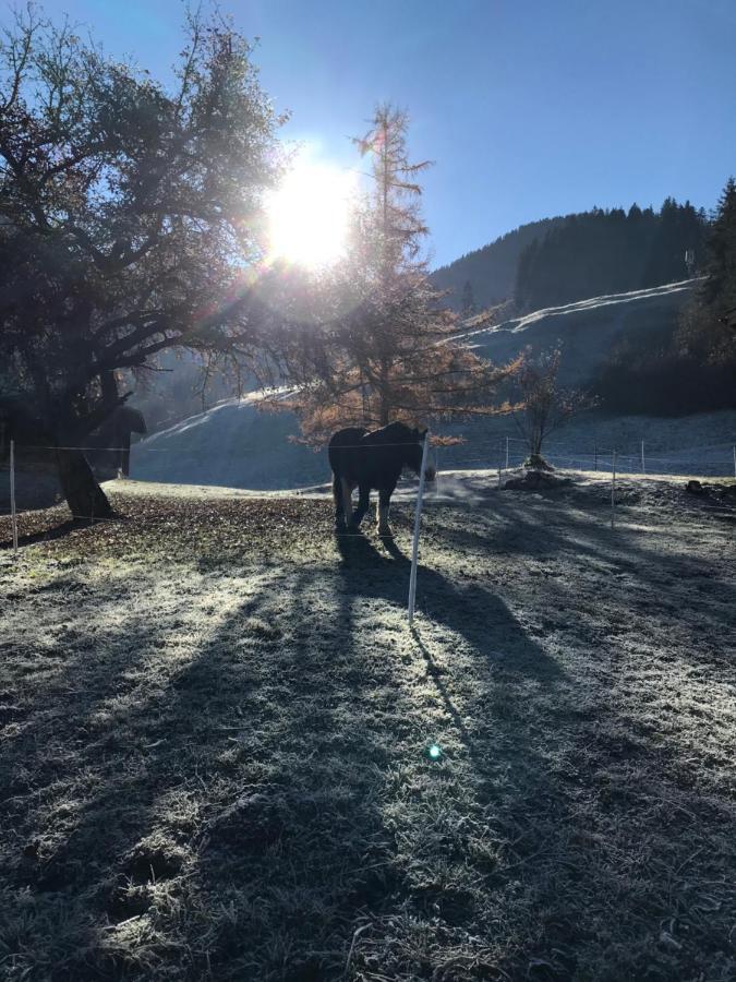 Au Pre Des Chevaux Château-d'Oex Exterior foto