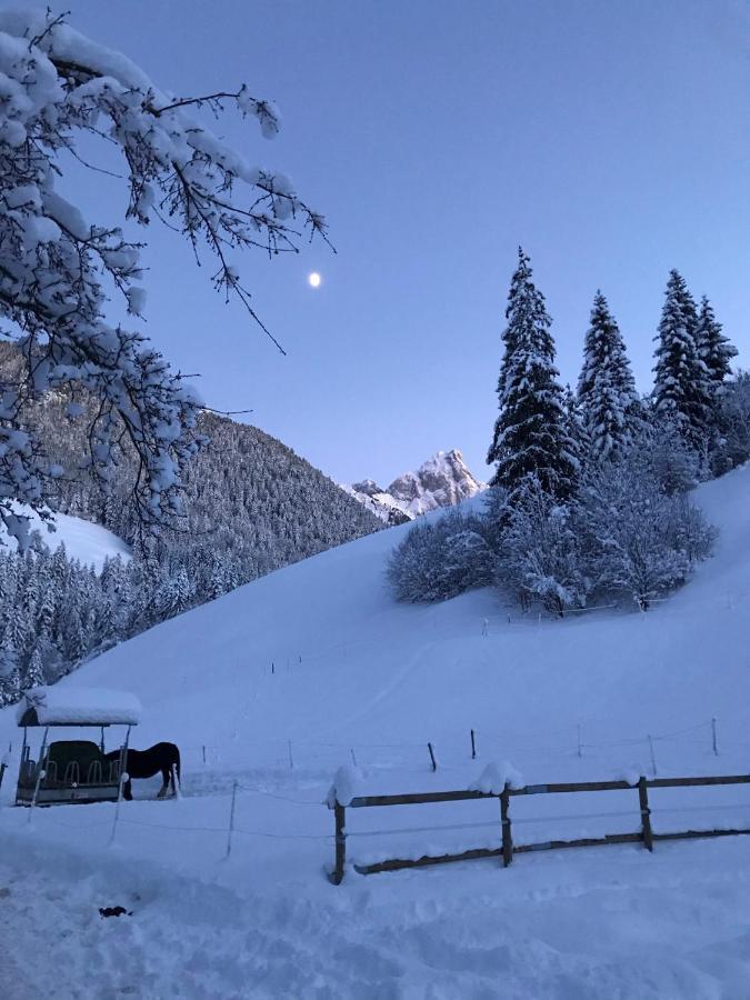 Au Pre Des Chevaux Château-d'Oex Exterior foto