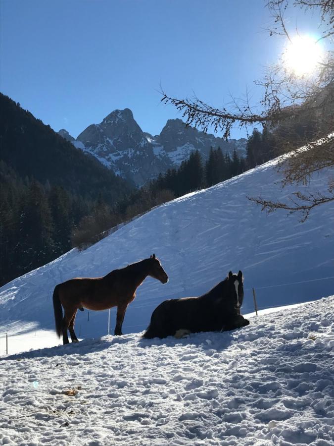 Au Pre Des Chevaux Château-d'Oex Exterior foto