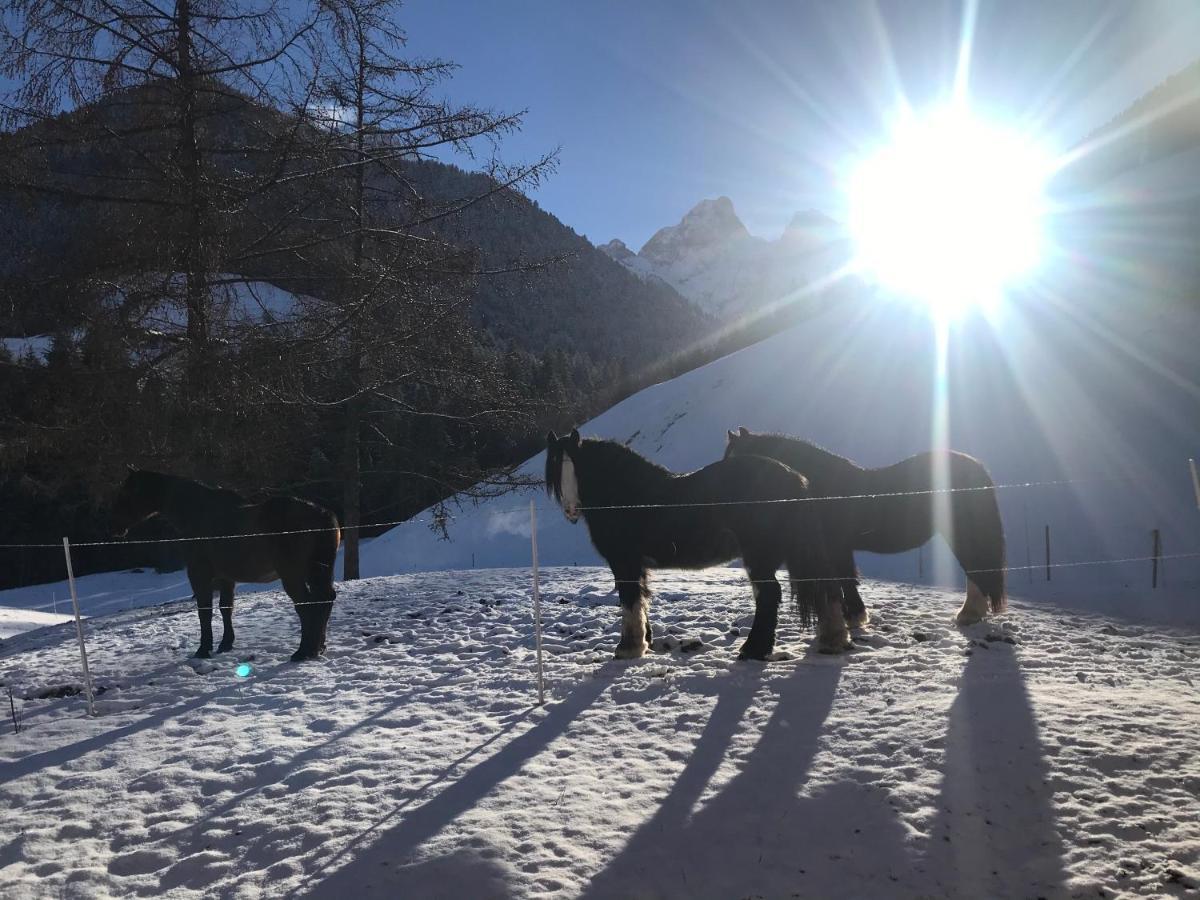Au Pre Des Chevaux Château-d'Oex Exterior foto