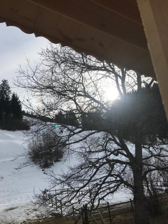 Au Pre Des Chevaux Château-d'Oex Exterior foto