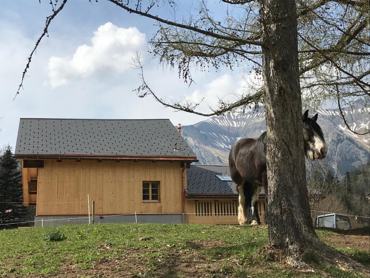 Au Pre Des Chevaux Château-d'Oex Exterior foto