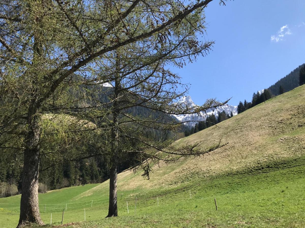 Au Pre Des Chevaux Château-d'Oex Exterior foto