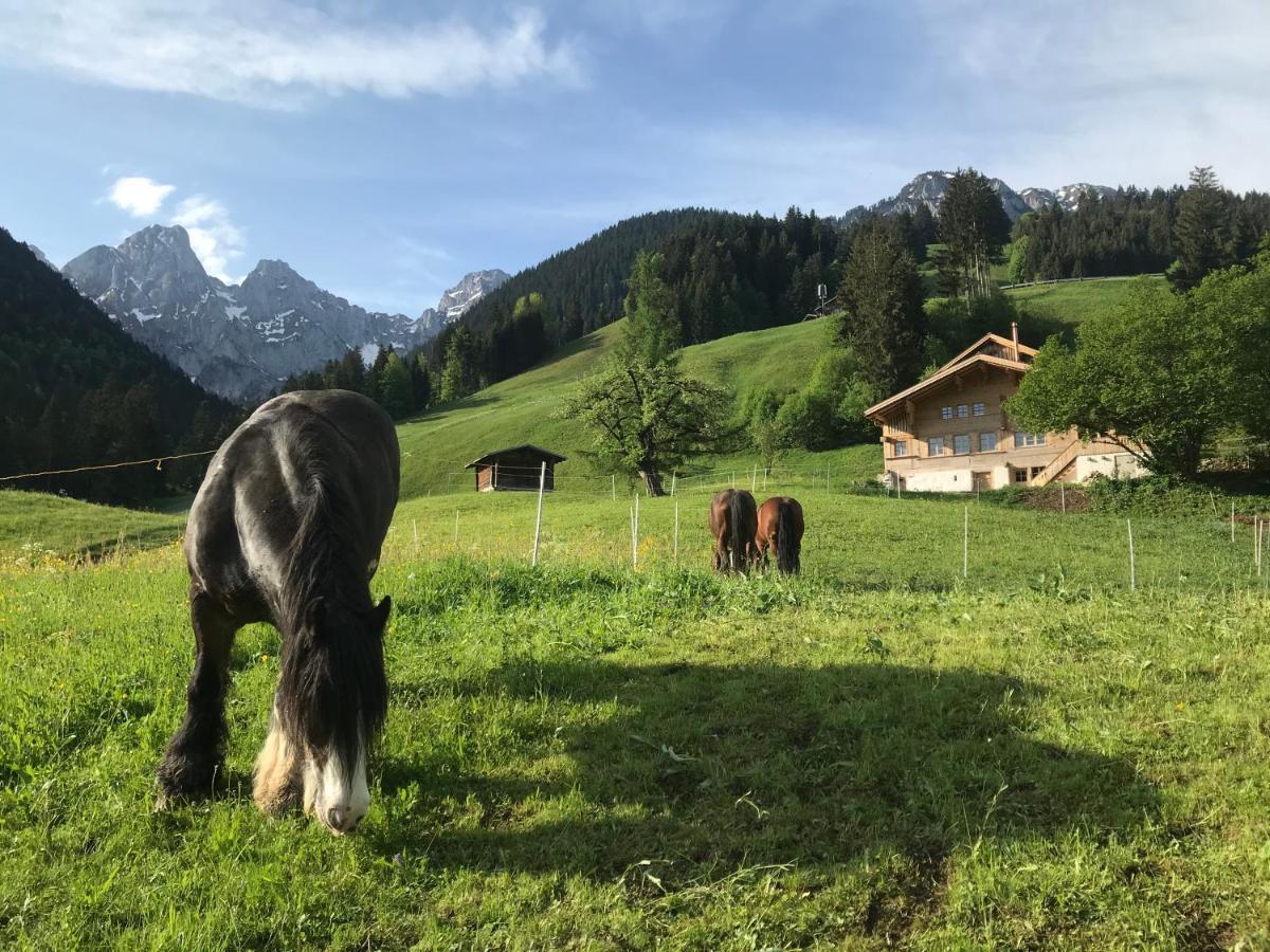 Au Pre Des Chevaux Château-d'Oex Exterior foto
